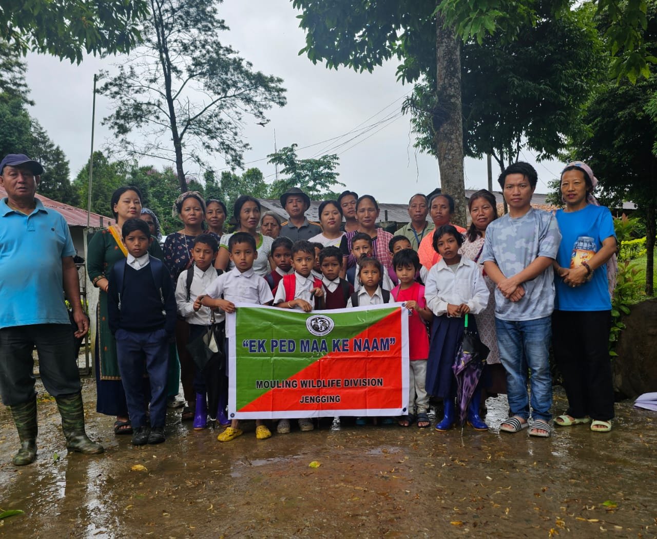 Plantation Drive
